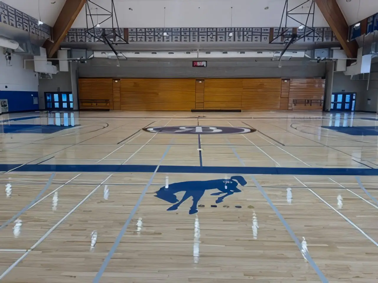 Gymnasium court with mustang mascot logo and game lines
