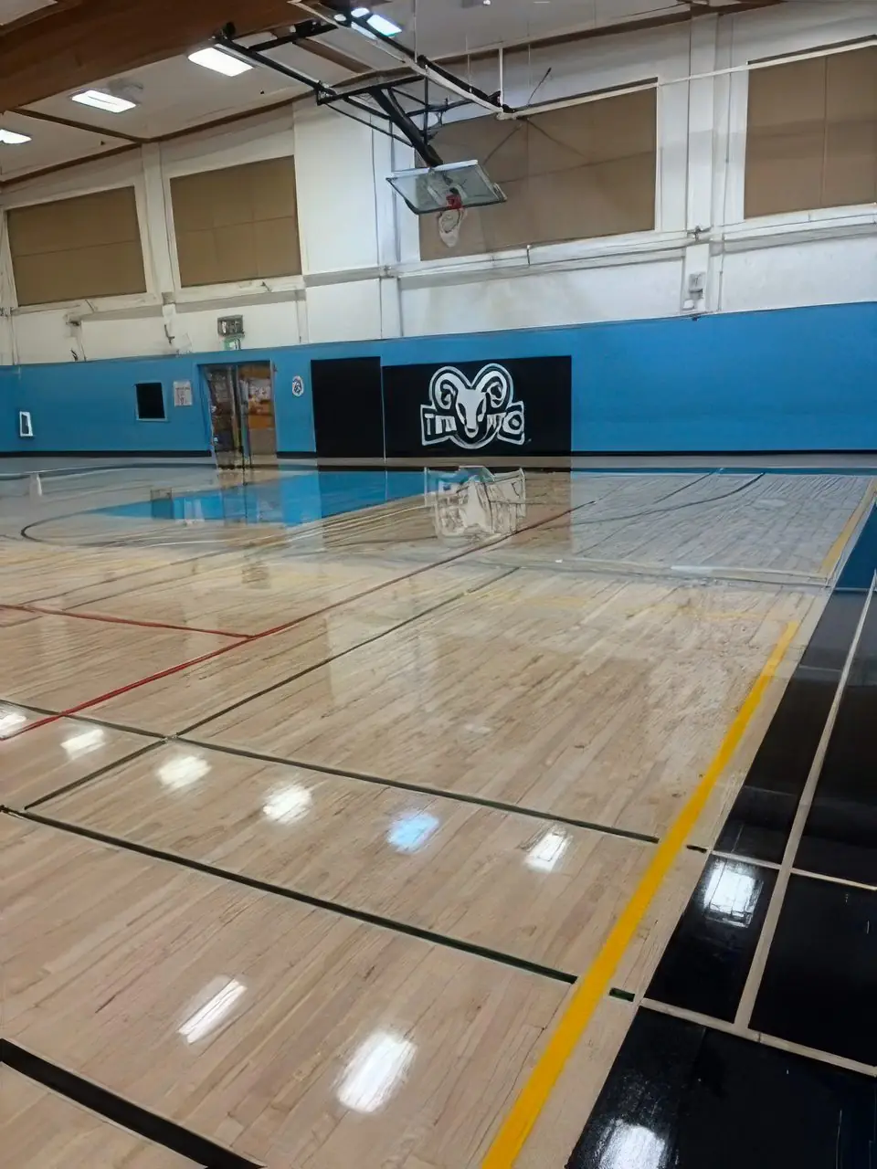 Gymnasium court with rams mascot wall and fresh finish